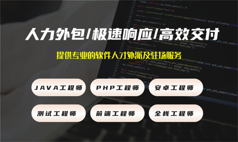 如何利用Python程序员IT人力外包服务解决旅游系统开发难题