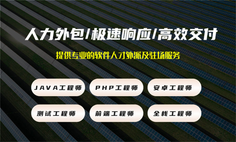 项目管理系统解决方案与功能计划书——助力企业高效管理