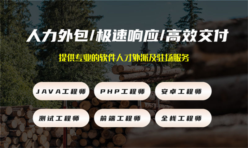 上海全国IT人力外包：破解企业技术团队搭建难题的高效之选